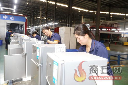 科技赋能，技术开发驱动冷产业转型升级新篇章